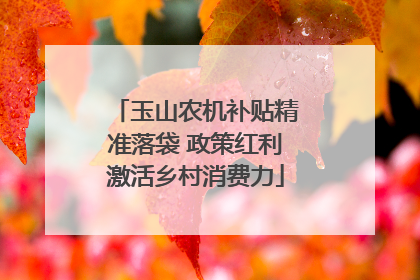 玉山农机补贴精准落袋 政策红利激活乡村消费力