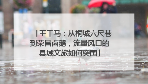王千马：从桐城六尺巷到荣昌卤鹅，流量风口的县域文旅如何突围