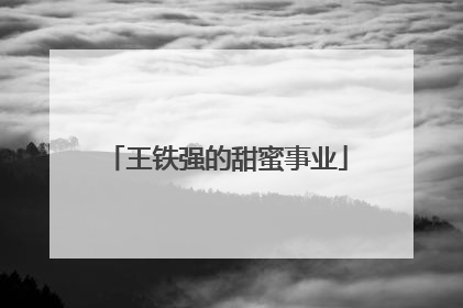王铁强的甜蜜事业