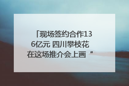 现场签约合作136亿元 四川攀枝花在这场推介会上画“图谱”列“清单”