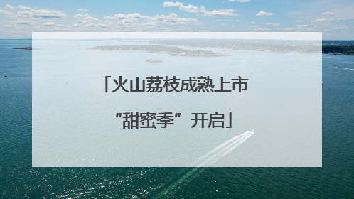 火山荔枝成熟上市 “甜蜜季”开启