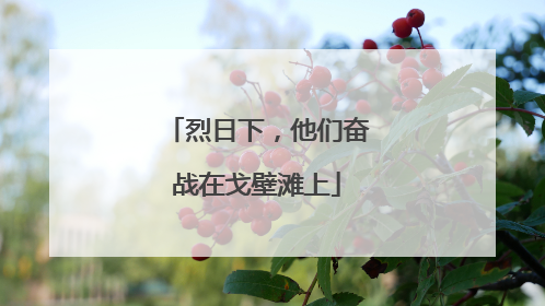 烈日下，他们奋战在戈壁滩上