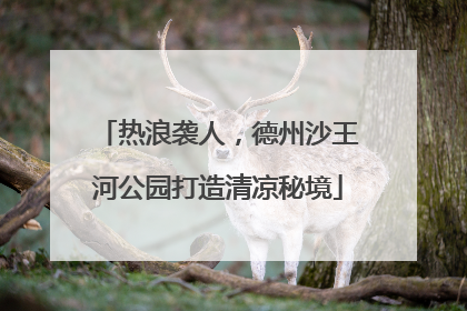 热浪袭人，德州沙王河公园打造清凉秘境