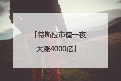 特斯拉市值一夜大涨4000亿