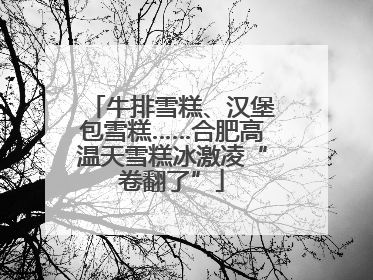 牛排雪糕、汉堡包雪糕……合肥高温天雪糕冰激凌“卷翻了”