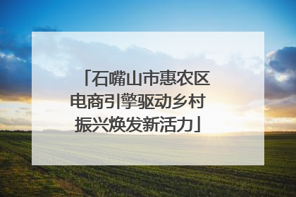 石嘴山市惠农区电商引擎驱动乡村振兴焕发新活力