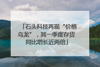 石头科技再现“价格乌龙”，其一季度存货同比增长近两倍