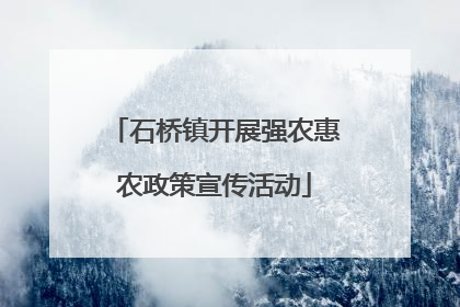 石桥镇开展强农惠农政策宣传活动