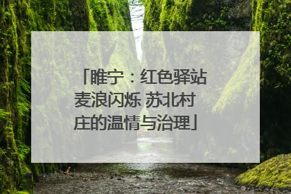 睢宁：红色驿站麦浪闪烁 苏北村庄的温情与治理