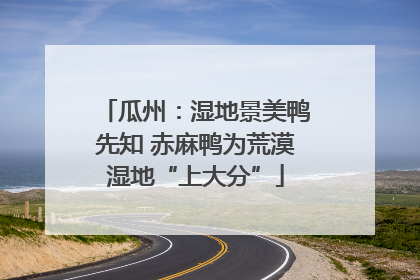 瓜州：湿地景美鸭先知 赤麻鸭为荒漠湿地“上大分”