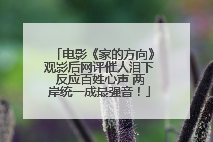 电影《家的方向》观影后网评催人泪下 反应百姓心声 两岸统一成最强音！