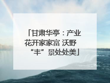 甘肃华亭：产业花开家家富 沃野“丰”景处处美