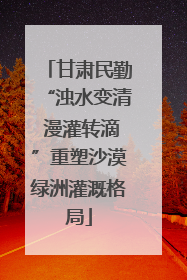 甘肃民勤“浊水变清 漫灌转滴”重塑沙漠绿洲灌溉格局