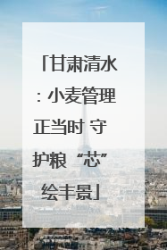 甘肃清水：小麦管理正当时 守护粮“芯”绘丰景