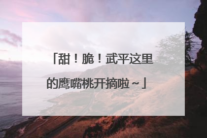 甜！脆！武平这里的鹰嘴桃开摘啦～