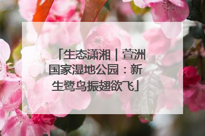 生态潇湘｜萱洲国家湿地公园：新生鹭鸟振翅欲飞