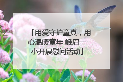 用爱守护童真，用心温暖童年 峨眉一小开展慰问活动