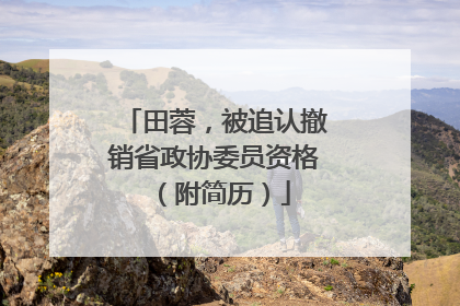 田蓉，被追认撤销省政协委员资格（附简历）