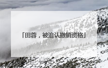 田蓉，被追认撤销资格