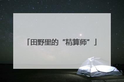 田野里的“精算师”