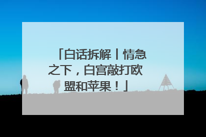 白话拆解丨情急之下，白宫敲打欧盟和苹果！