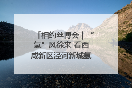 相约丝博会｜“氢”风徐来 看西咸新区泾河新城氢能产业聚链成势