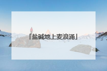 盐碱地上麦浪涌