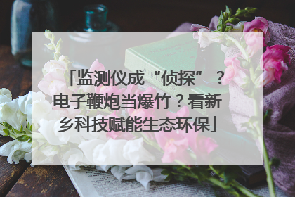监测仪成“侦探”？电子鞭炮当爆竹？看新乡科技赋能生态环保