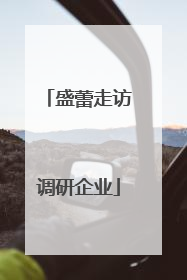 盛蕾走访调研企业