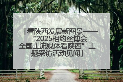 看陕西发展新图景——“2025相约丝博会 全国主流媒体看陕西”主题采访活动见闻