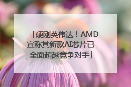 硬刚英伟达！AMD宣称其新款AI芯片已全面超越竞争对手