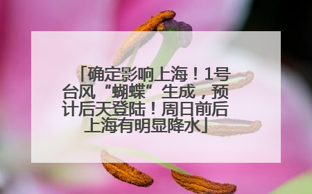 确定影响上海！1号台风“蝴蝶”生成，预计后天登陆！周日前后上海有明显降水