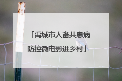禹城市人畜共患病防控微电影进乡村