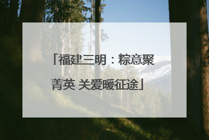 福建三明：粽意聚菁英 关爱暖征途