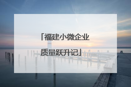 福建小微企业质量跃升记