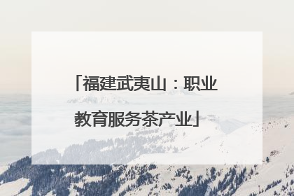 福建武夷山：职业教育服务茶产业