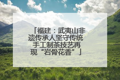 福建：武夷山非遗传承人坚守传统 手工制茶技艺再现“岩骨花香”