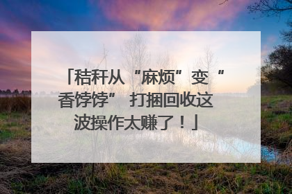 秸秆从“麻烦”变“香饽饽” 打捆回收这波操作太赚了！