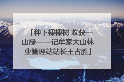 种下棵棵树 收获一山绿——记牟家大山林业管理站站长王占胜