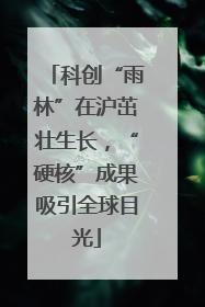 科创“雨林”在沪茁壮生长，“硬核”成果吸引全球目光