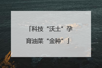 科技“沃土”孕育油菜“金种”