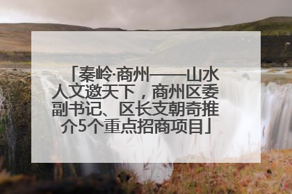 秦岭·商州——山水人文邀天下，商州区委副书记、区长支朝奇推介5个重点招商项目