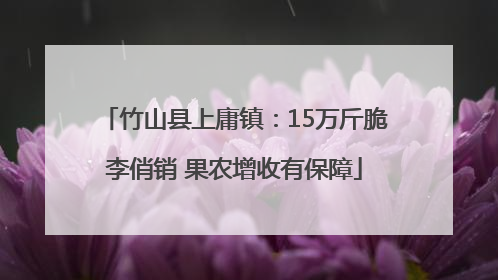 竹山县上庸镇：15万斤脆李俏销 果农增收有保障