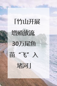 竹山开展增殖放流 30万尾鱼苗“飞”入堵河
