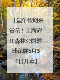 端午假期来赏花！上海滨江森林公园绣球花展5月31日开幕