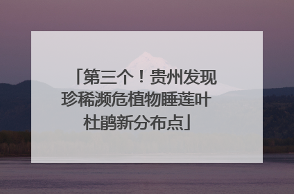 第三个！贵州发现珍稀濒危植物睡莲叶杜鹃新分布点