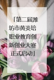 第二届潍坊市黄炎培职业教育创新创业大赛正式启动