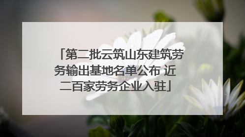 第二批云筑山东建筑劳务输出基地名单公布 近二百家劳务企业入驻