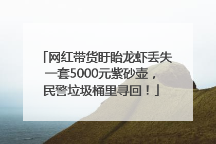 网红带货盱眙龙虾丢失一套5000元紫砂壶，民警垃圾桶里寻回！