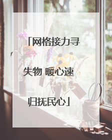 网格接力寻失物 暖心速归抚民心